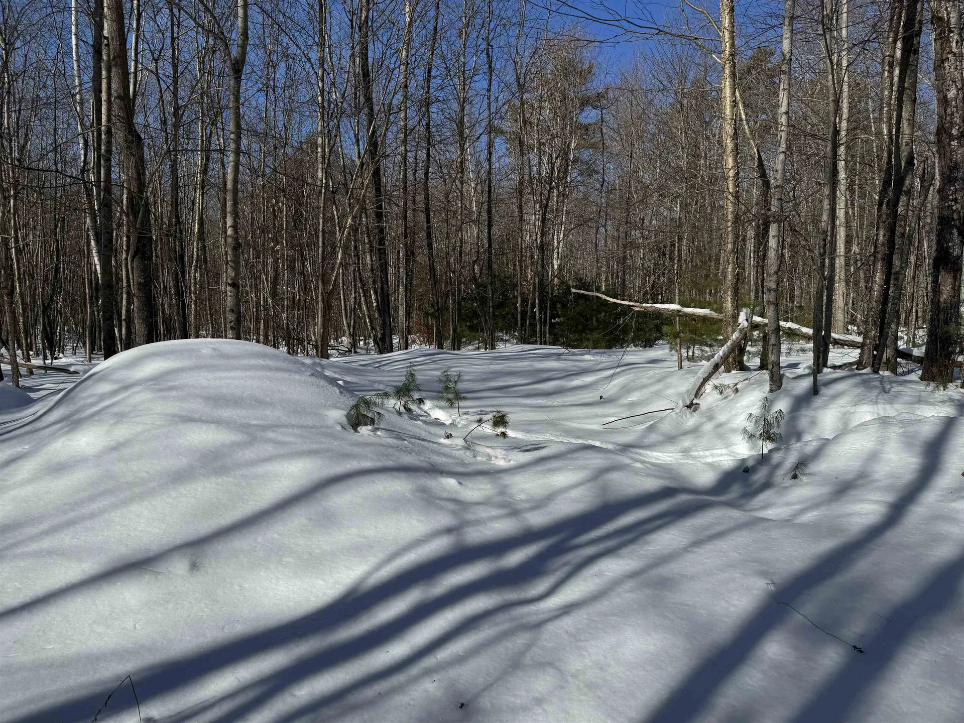 0 White Mountain Highway Wakefield NH 03872