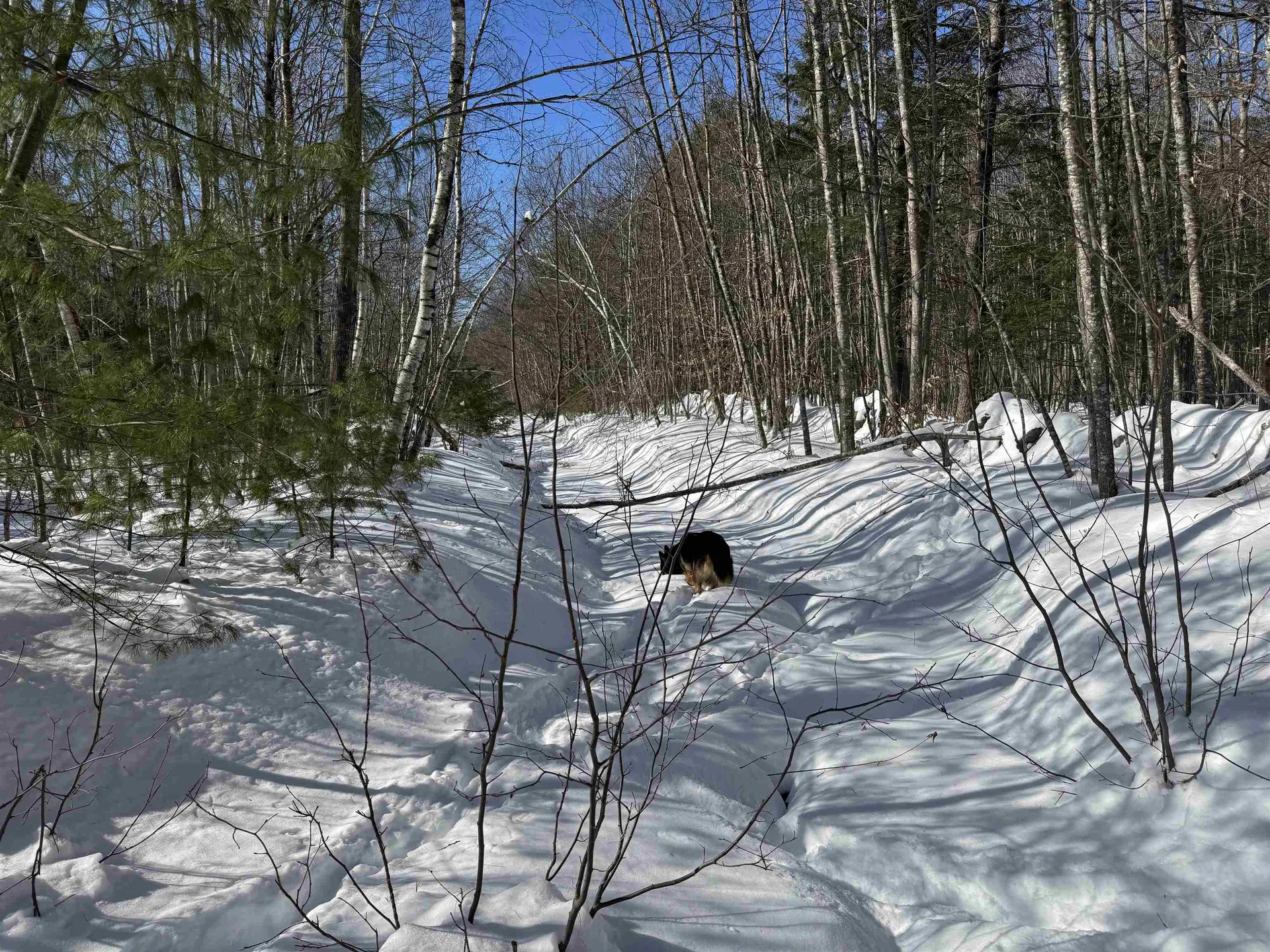 0 White Mountain Highway Wakefield NH 03872
