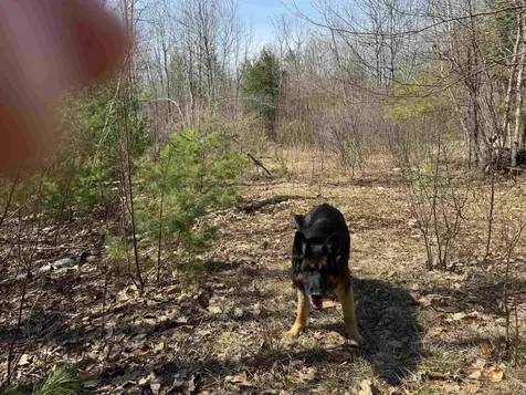 0 White Mountain Highway Wakefield NH 03872