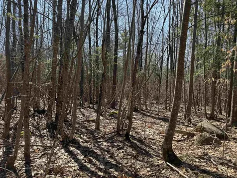 0 White Mountain Highway Wakefield NH 03872