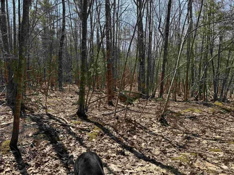 0 White Mountain Highway Wakefield NH 03872