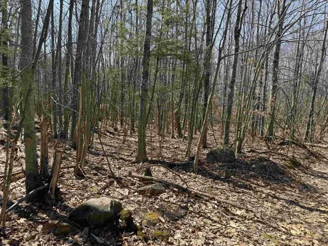 0 White Mountain Highway Wakefield NH 03872