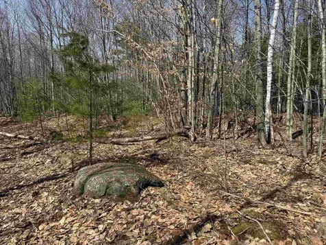 0 White Mountain Highway Wakefield NH 03872