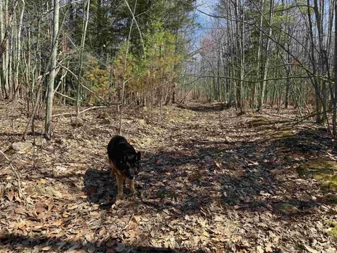 0 White Mountain Highway Wakefield NH 03872