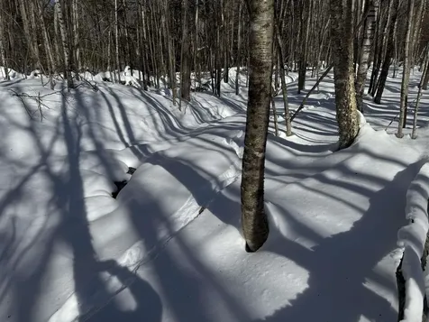 0 White Mountain Highway Wakefield NH 03872