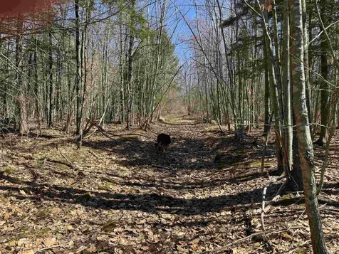 0 White Mountain Highway Wakefield NH 03872