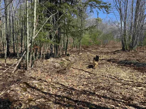 0 White Mountain Highway Wakefield NH 03872