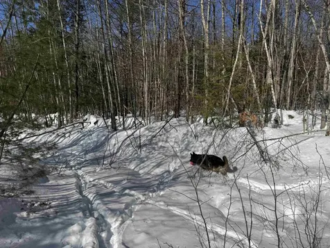 0 White Mountain Highway Wakefield NH 03872