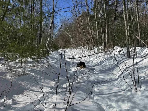 0 White Mountain Highway Wakefield NH 03872
