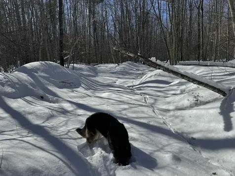 0 White Mountain Highway Wakefield NH 03872