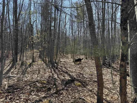 0 White Mountain Highway Wakefield NH 03872