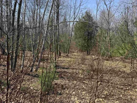 0 White Mountain Highway Wakefield NH 03872