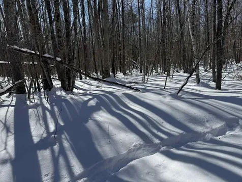 0 White Mountain Highway Wakefield NH 03872