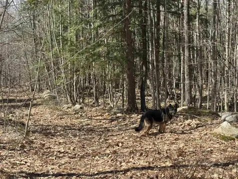 0 White Mountain Highway Wakefield NH 03872