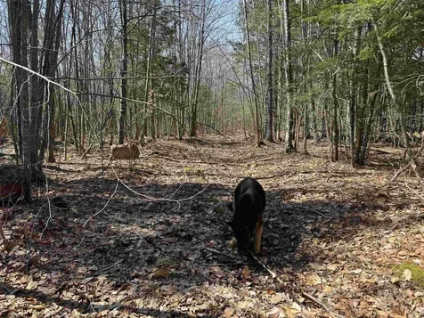 0 White Mountain Highway Wakefield NH 03872