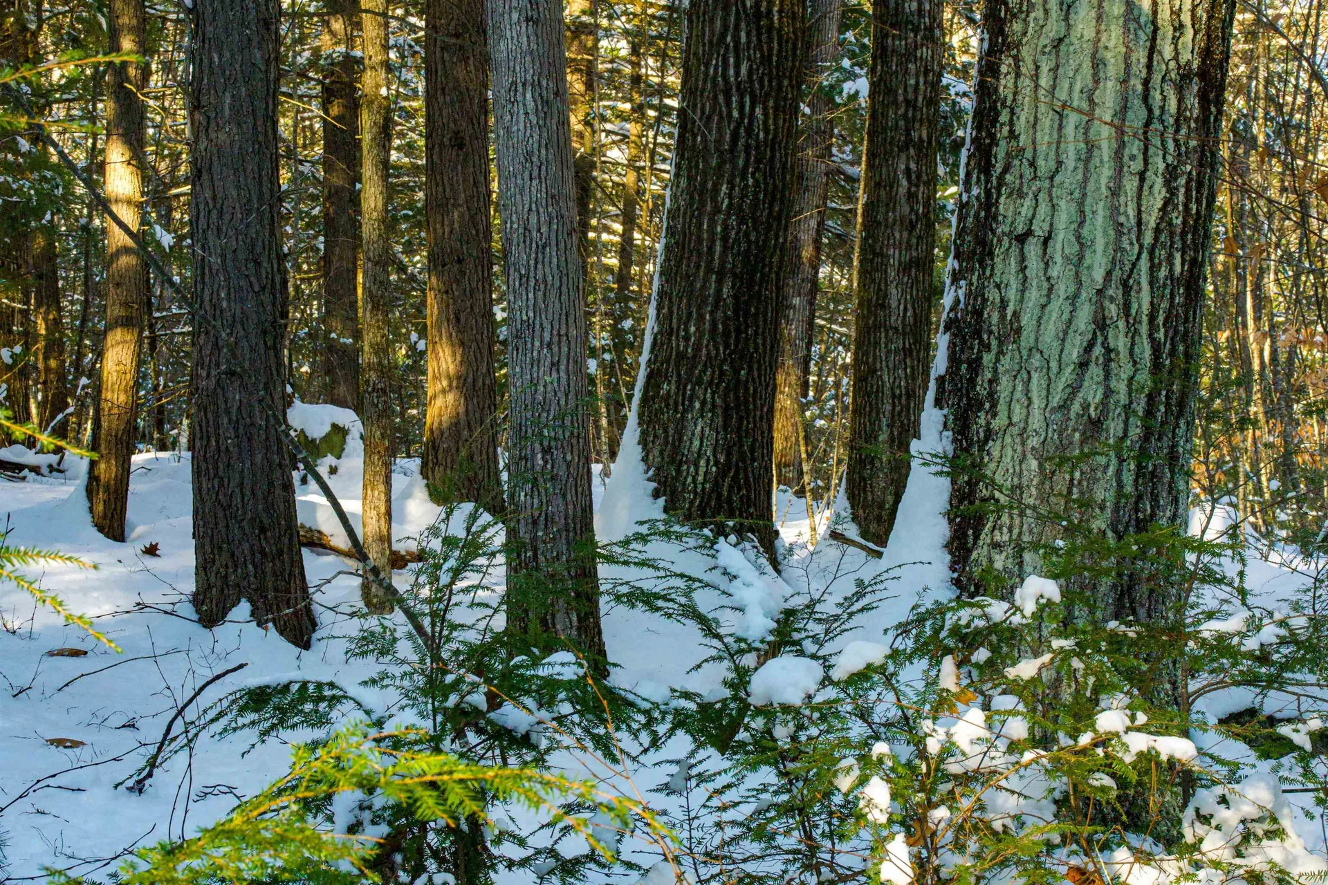 00 Bog Brook Road New Boston NH 03070