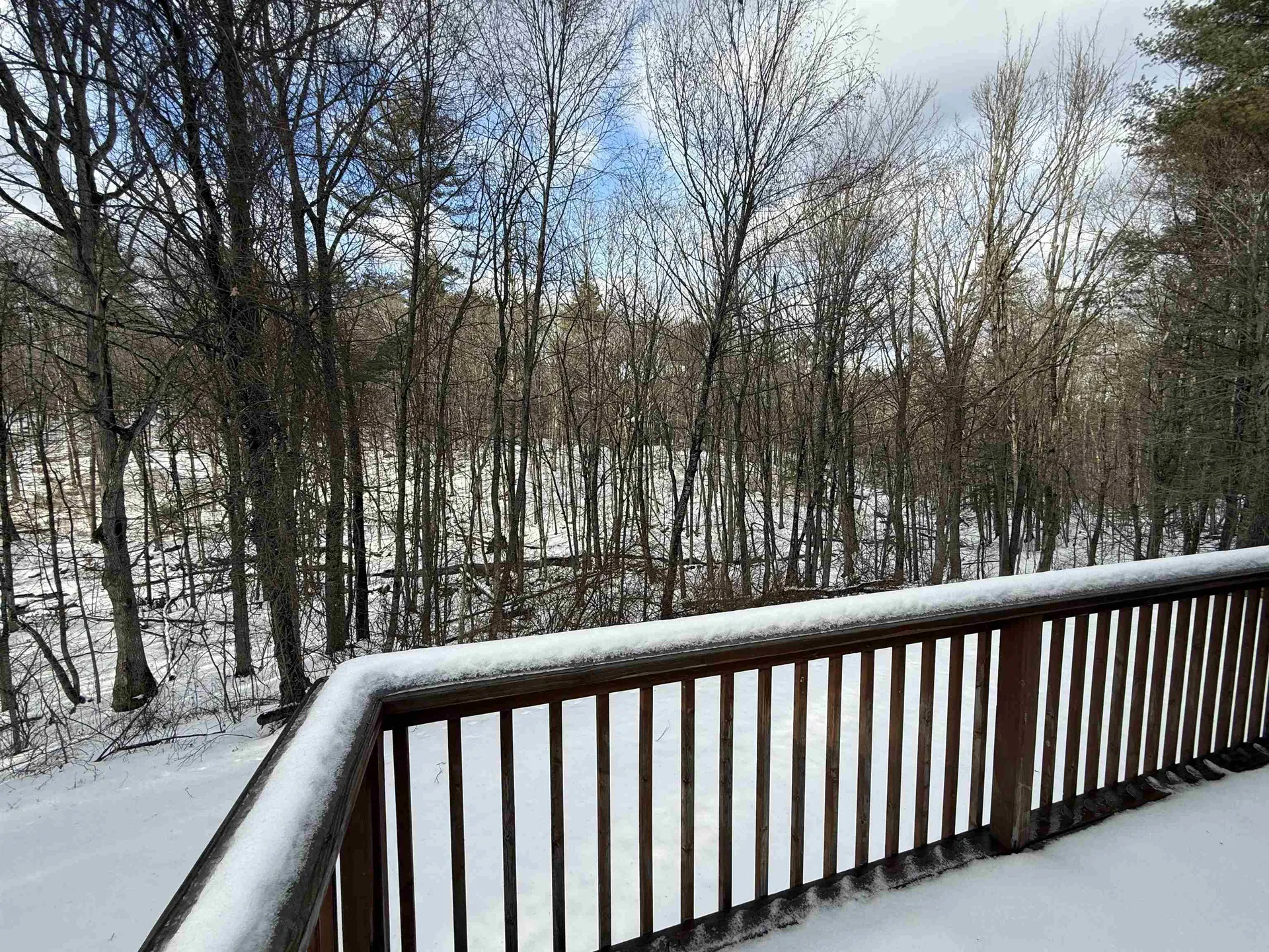 256 Middle Branch Road New Boston NH 03070