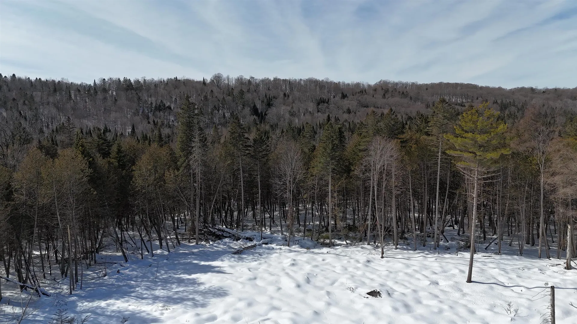 00 Vermont Route 5a Sutton VT 05867
