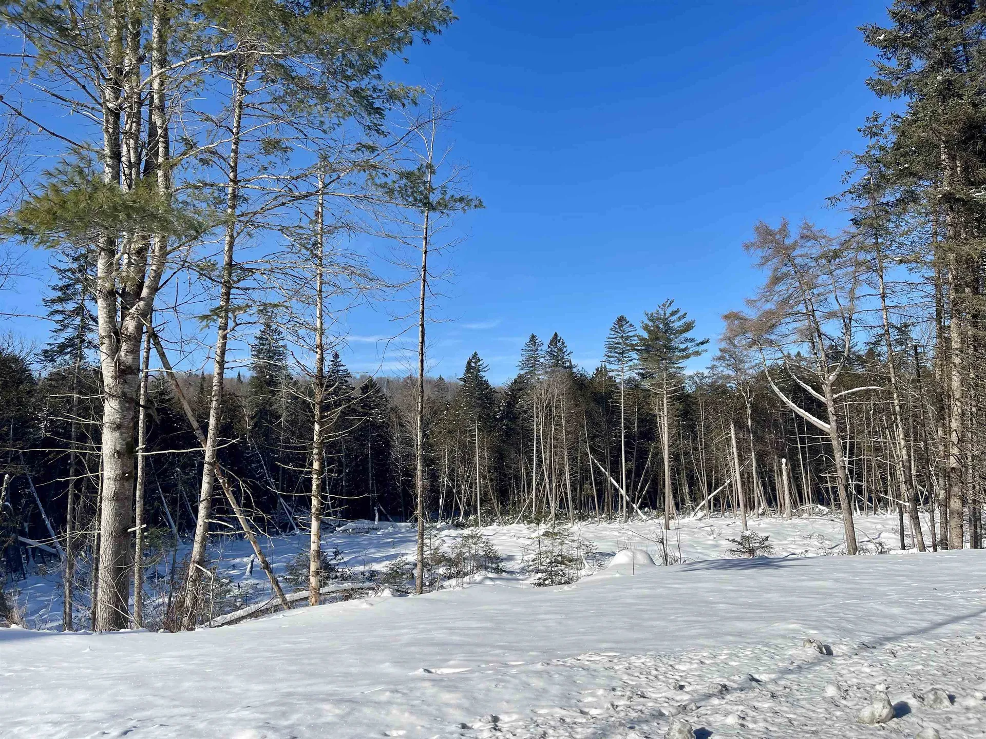 00 Vermont Route 5a Sutton VT 05867