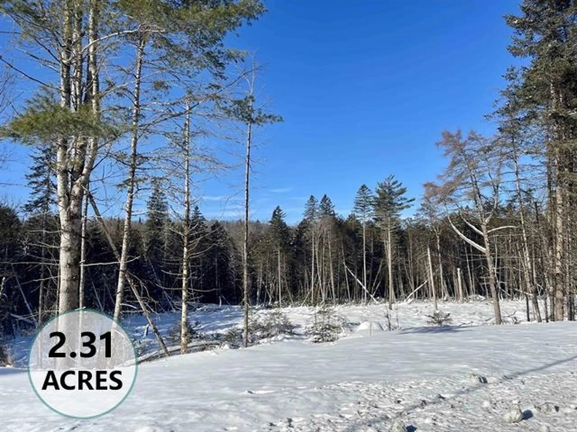 00 Vermont Route 5a Sutton VT 05867