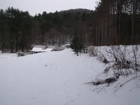 3186 South Road Woodstock VT 05091