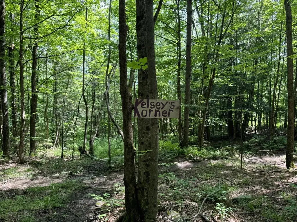 342 Sunrise Drive Huntington VT 05462