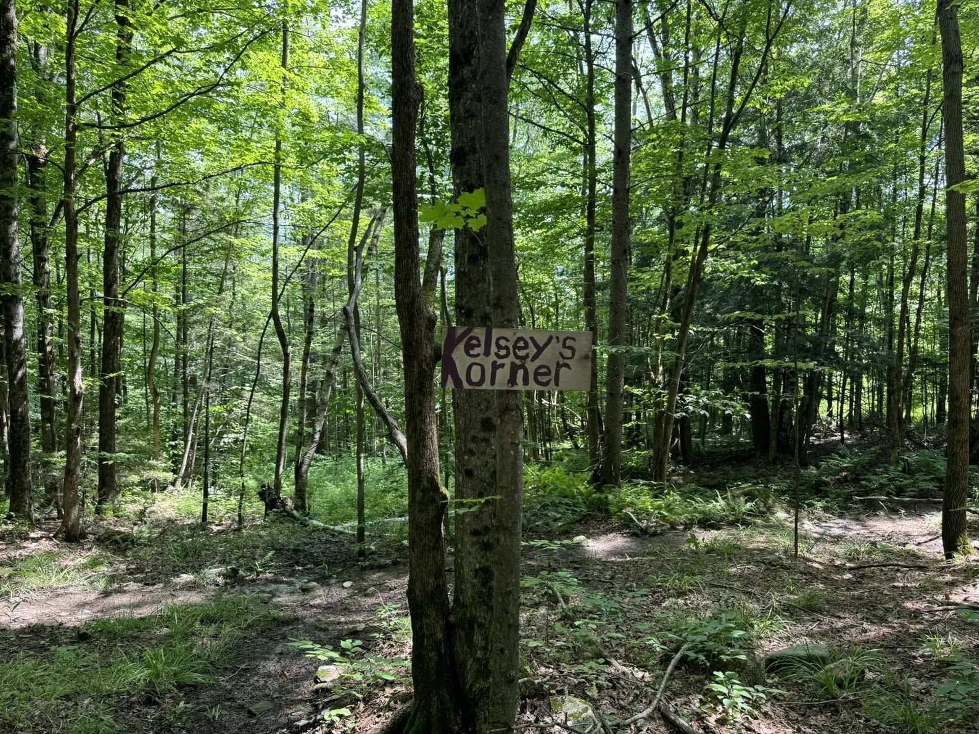 342 Sunrise Drive Huntington VT 05462