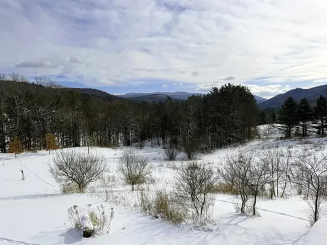 342 Sunrise Drive Huntington VT 05462