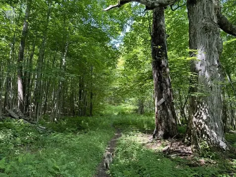 342 Sunrise Drive Huntington VT 05462