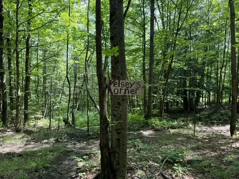 342 Sunrise Drive Huntington VT 05462