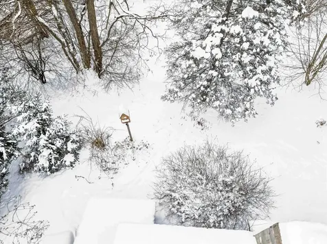 10 Meadows Drive Barre Town VT 05641