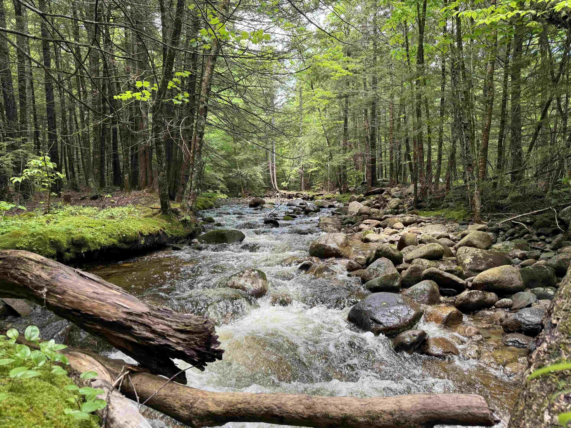 3039 Us Route 3 Thornton NH 03285