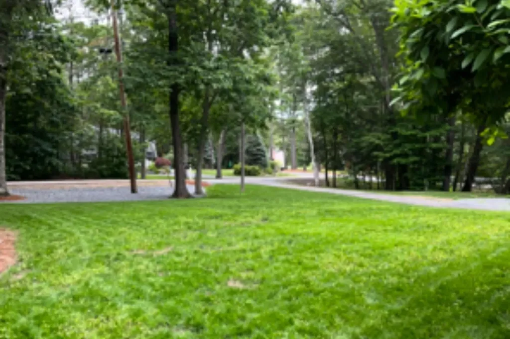 2 Celeste Terrace Sandown NH 03873