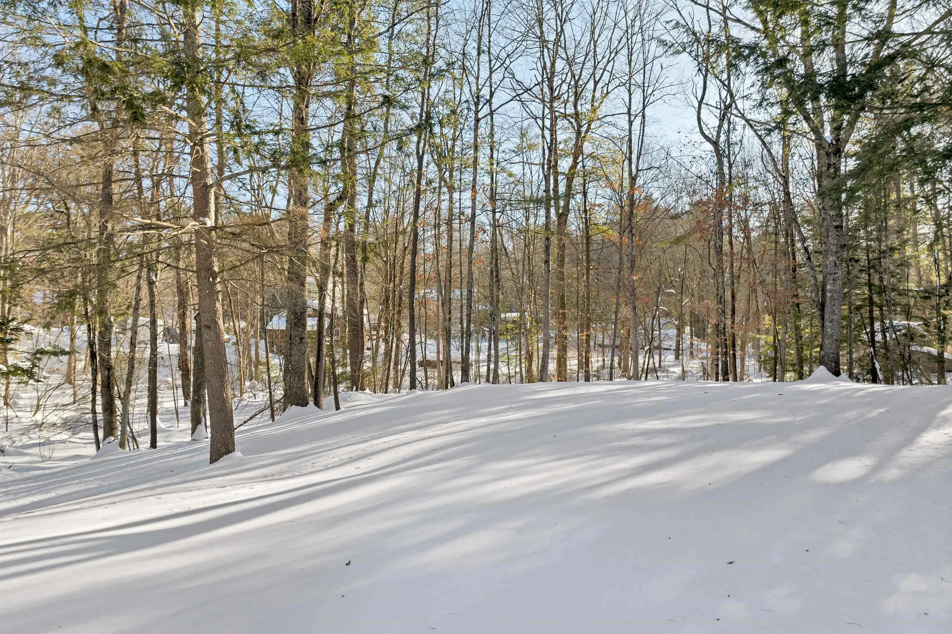 2 Celeste Terrace Sandown NH 03873