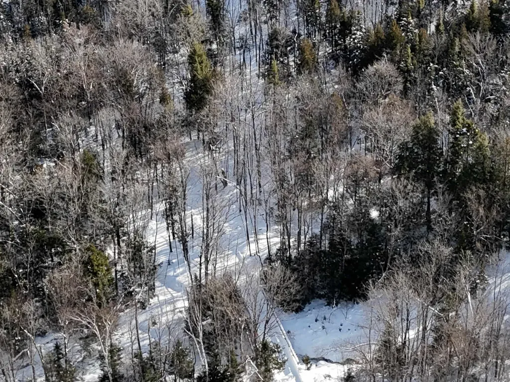 South Wheelock Road Wheelock VT 05851