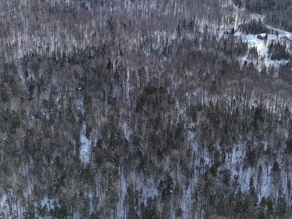 South Wheelock Road Wheelock VT 05851