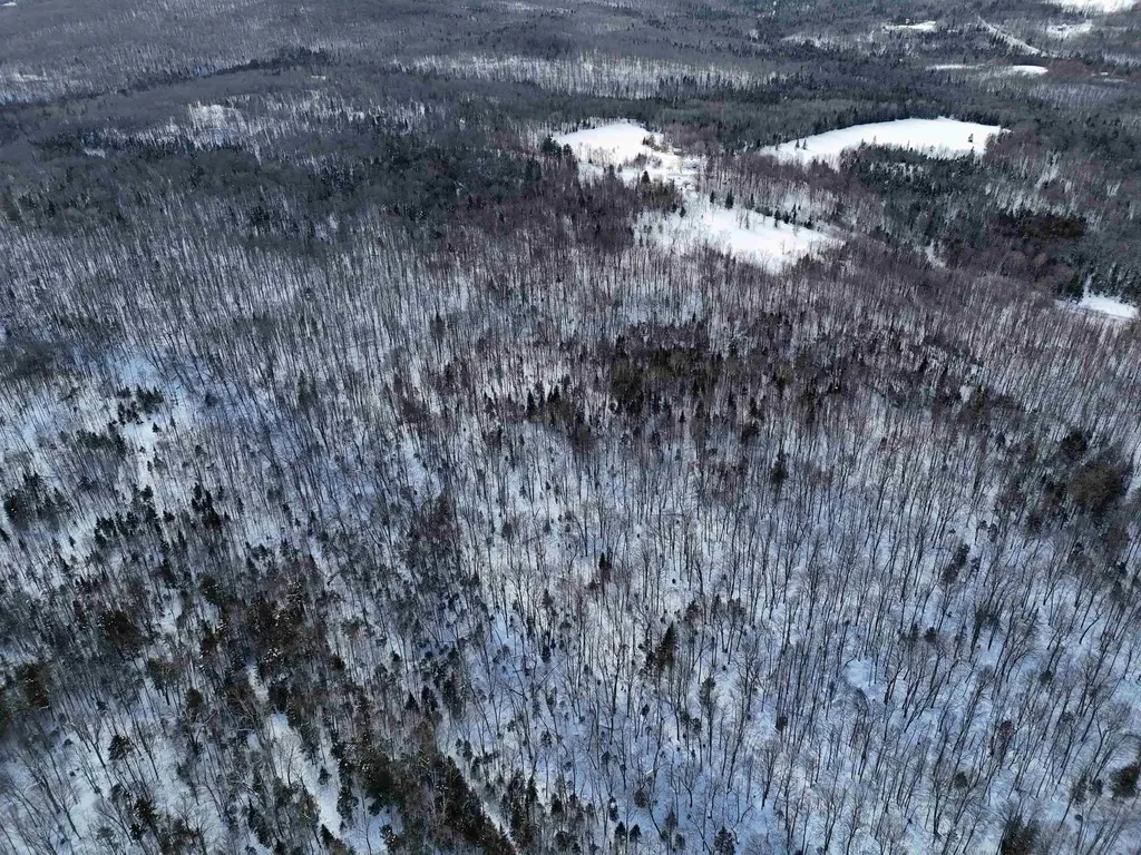 South Wheelock Road Wheelock VT 05851