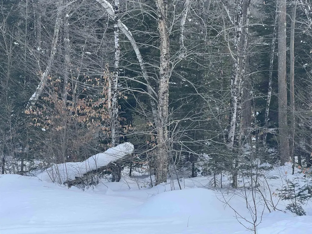 South Wheelock Road Wheelock VT 05851