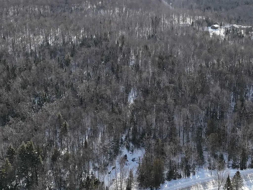 South Wheelock Road Wheelock VT 05851