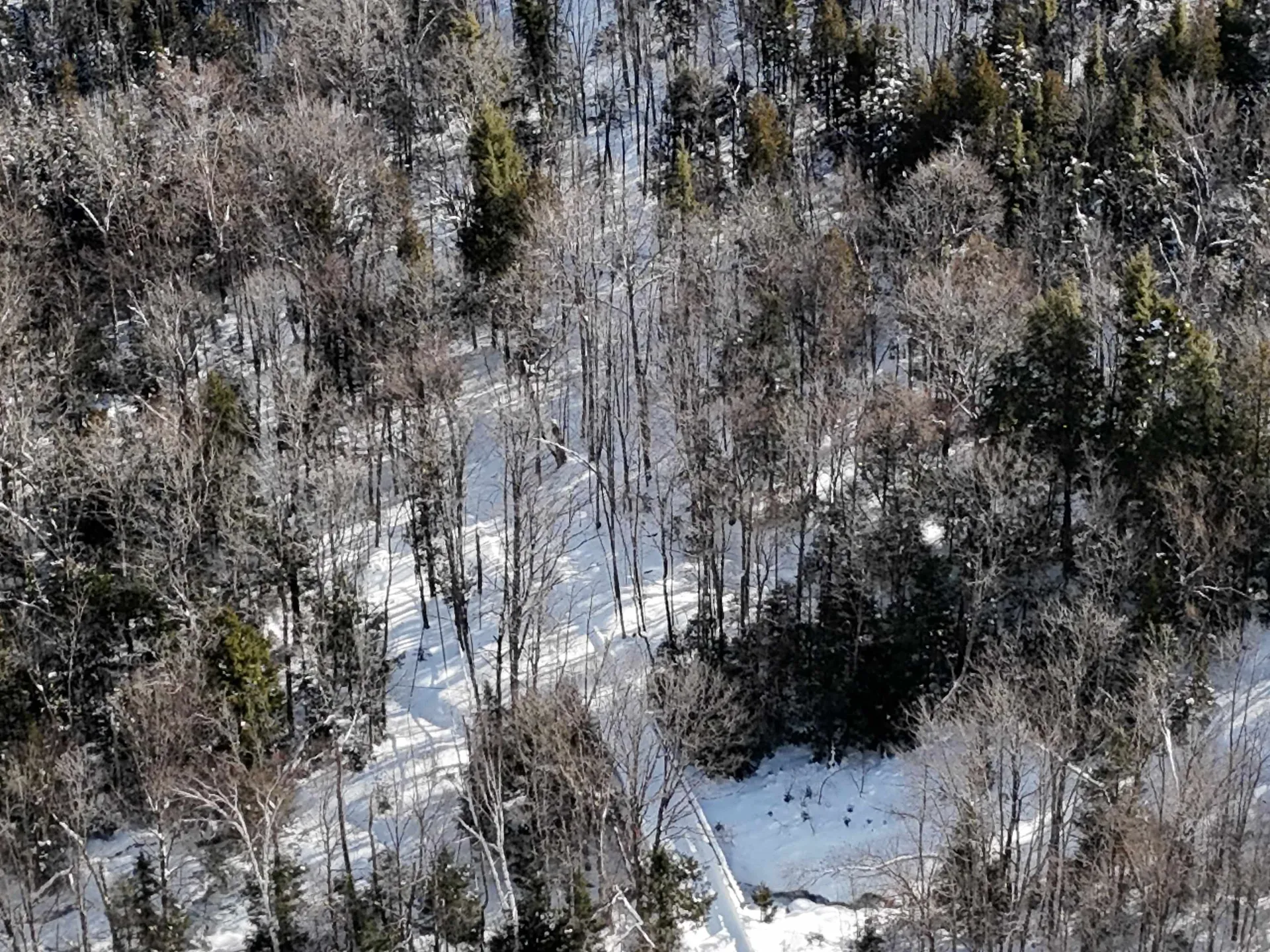 South Wheelock Road Wheelock VT 05851