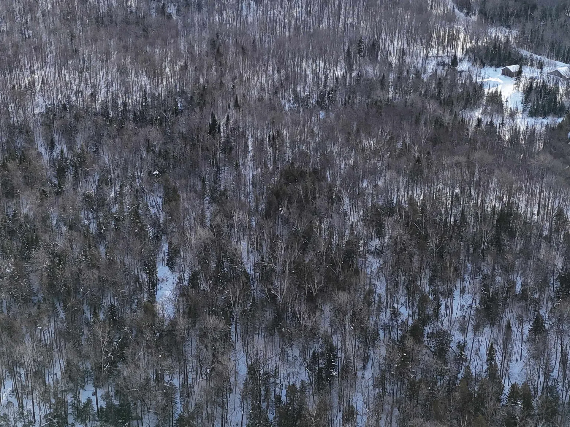 South Wheelock Road Wheelock VT 05851