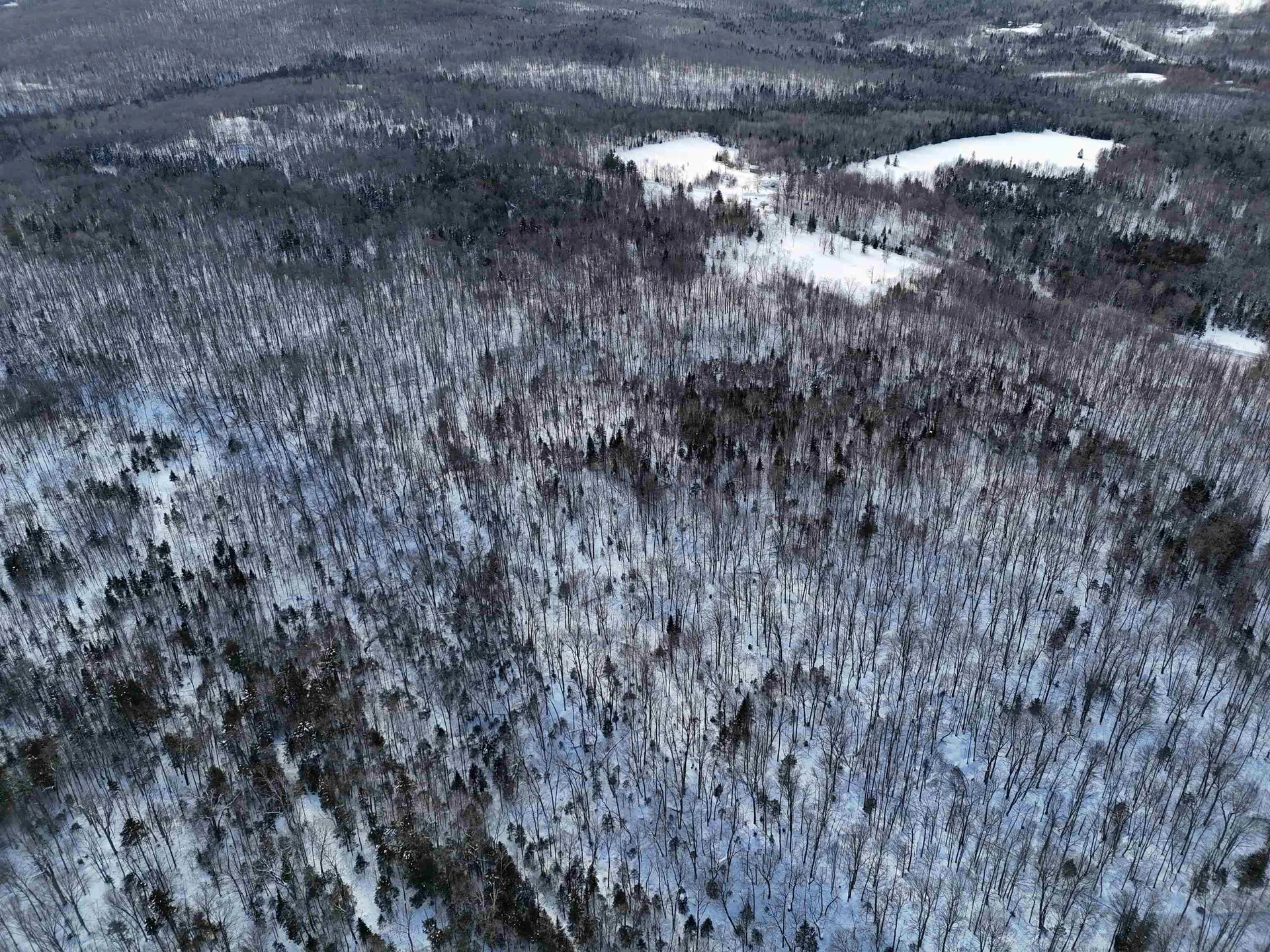 South Wheelock Road Wheelock VT 05851