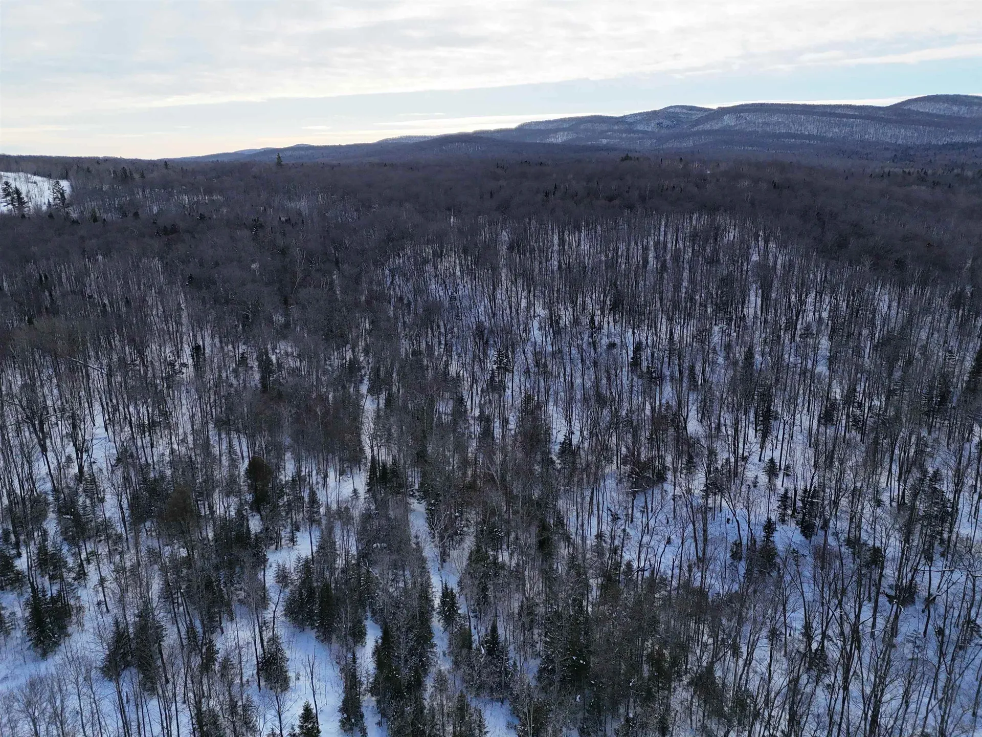 South Wheelock Road Wheelock VT 05851