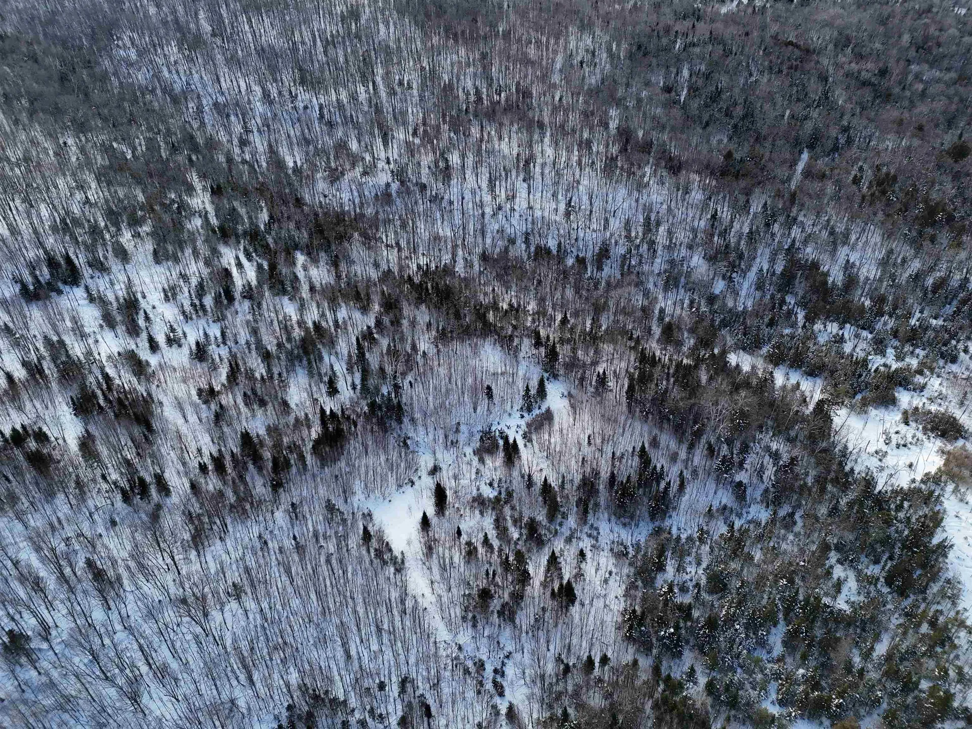 South Wheelock Road Wheelock VT 05851