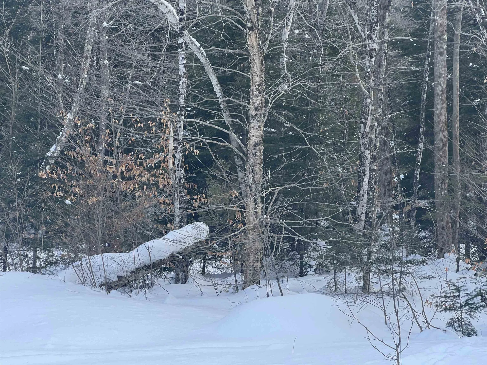 South Wheelock Road Wheelock VT 05851