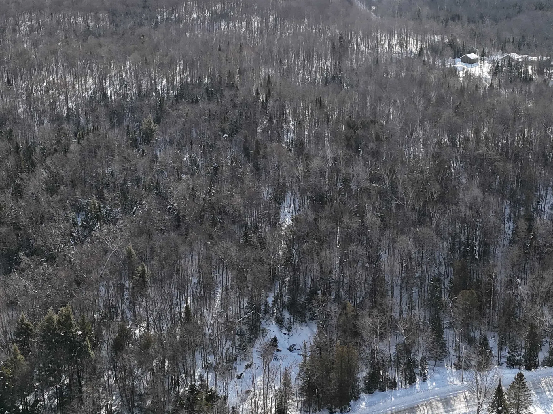 South Wheelock Road Wheelock VT 05851