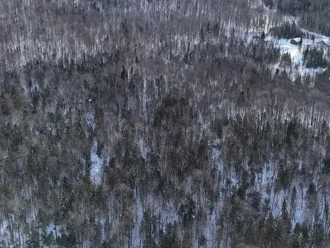 South Wheelock Road Wheelock VT 05851