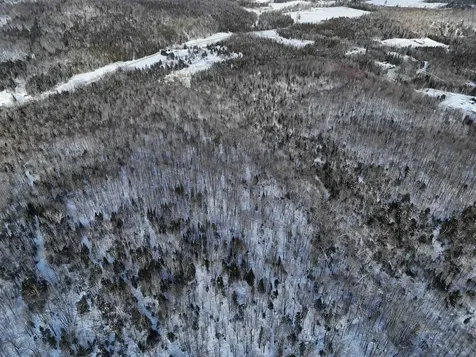 South Wheelock Road Wheelock VT 05851