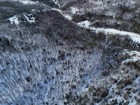 South Wheelock Road Wheelock VT 05851