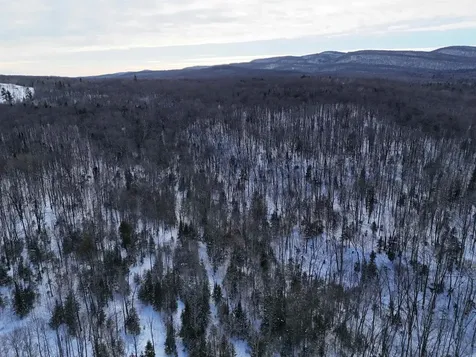 South Wheelock Road Wheelock VT 05851